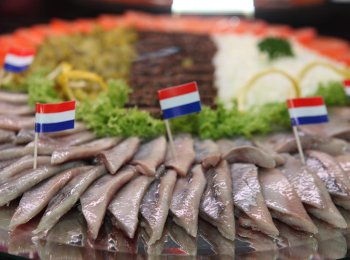 Schaal Hollandse Nieuwe